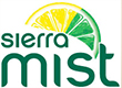 STARRY NO SUGAR image